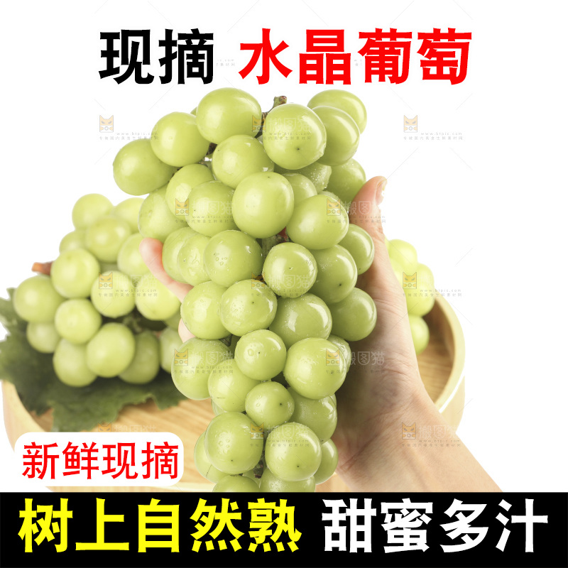 白底上的水晶青葡萄