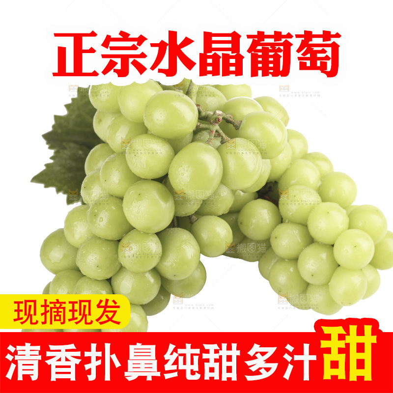白底上的水晶青葡萄