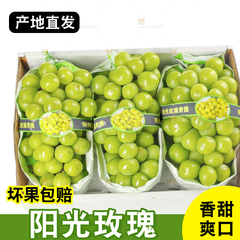 白底上盒子里的阳光玫瑰