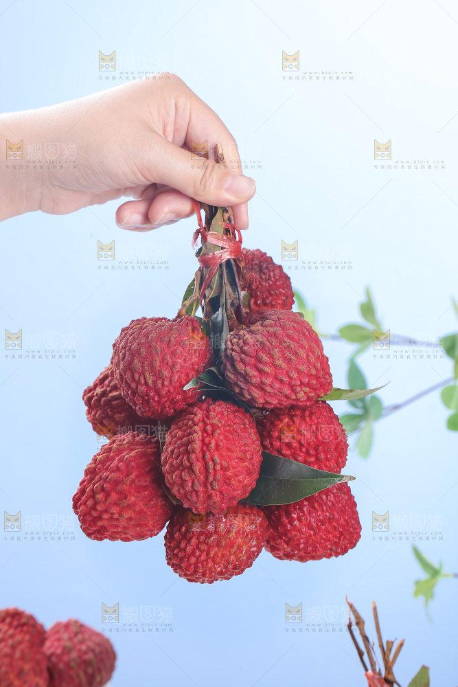 手里拿着荔枝王