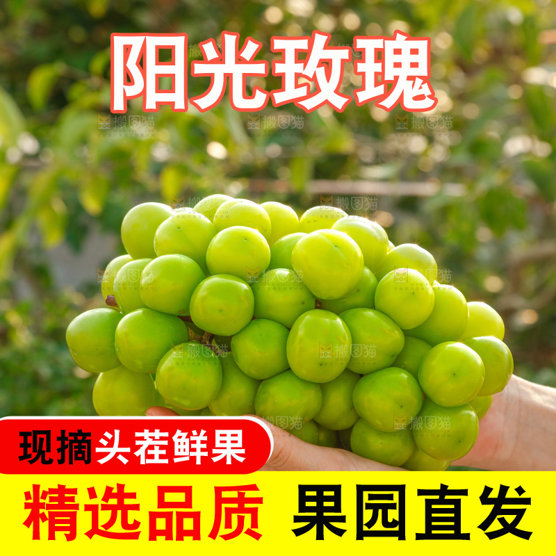 手里拿着一箱阳光玫瑰