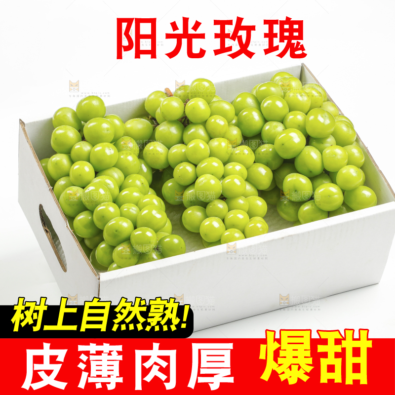 白底上的阳光玫瑰青提