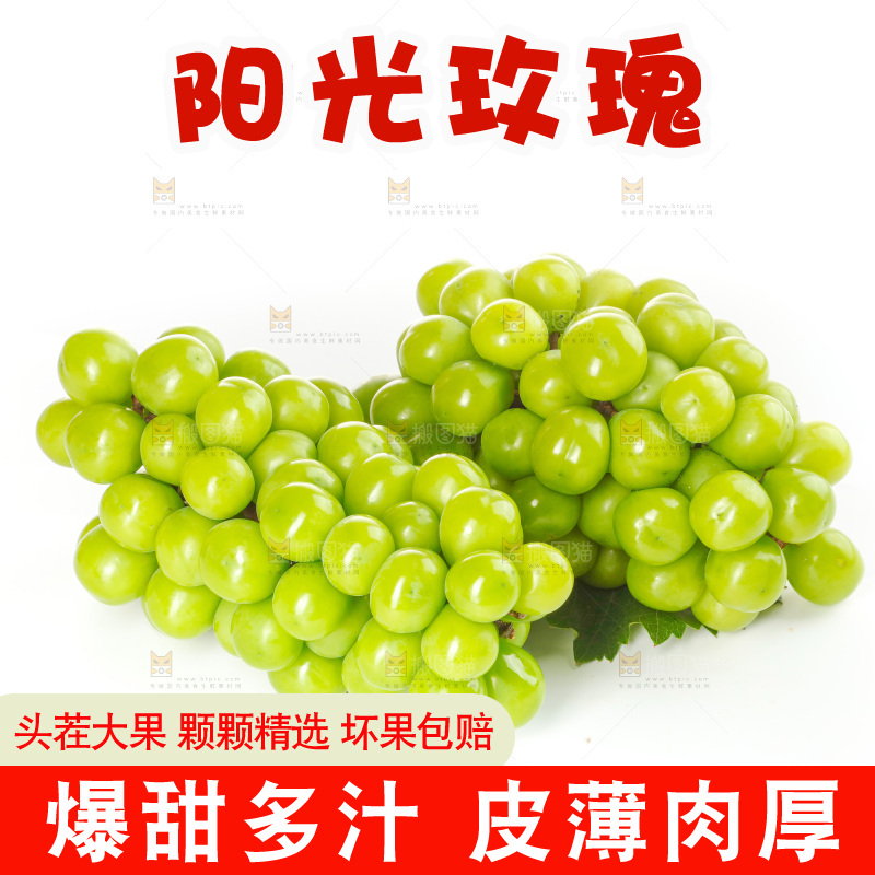 白底上的阳光玫瑰青提