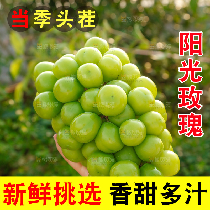 手里拿着一箱阳光玫瑰