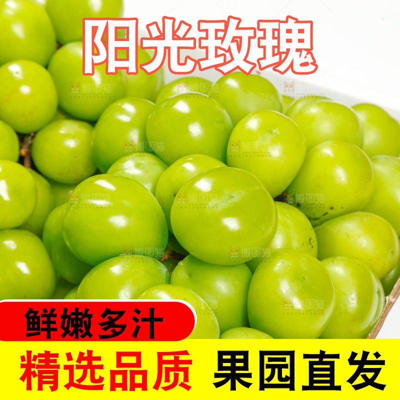 浅底上的一箱阳光玫瑰