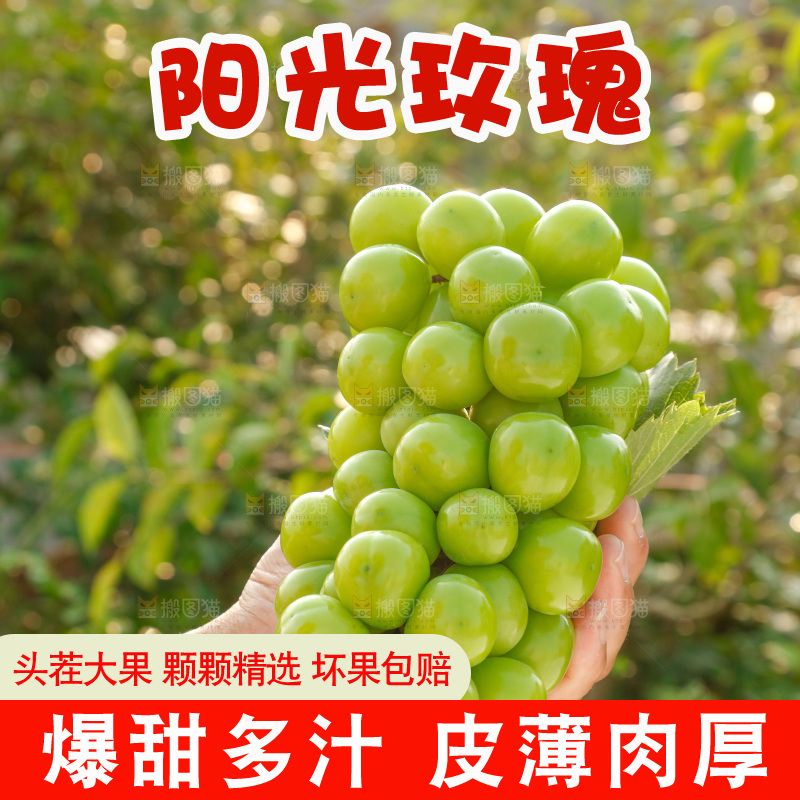 手里拿着一箱阳光玫瑰