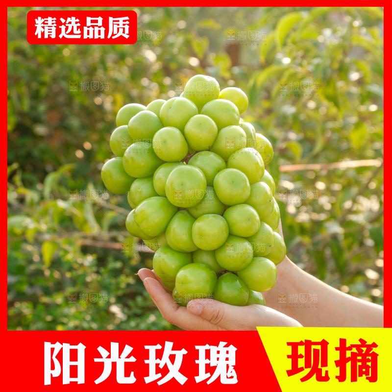 手里拿着一箱阳光玫瑰