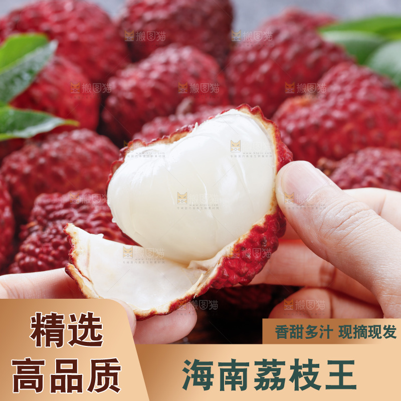 深底上的荔枝王