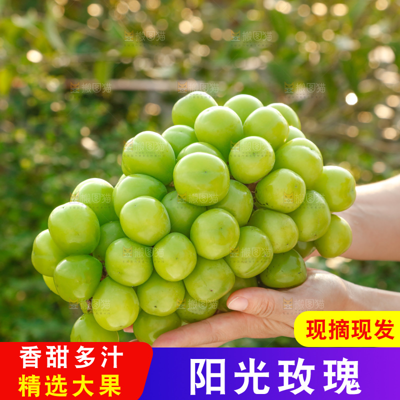 手里拿着一箱阳光玫瑰