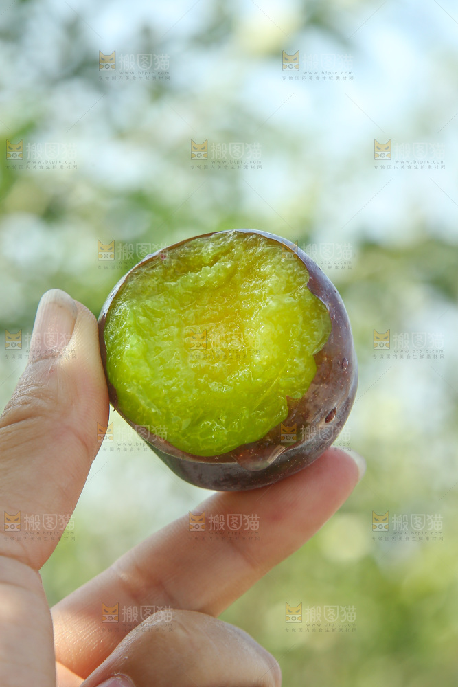 手里拿着五月脆李