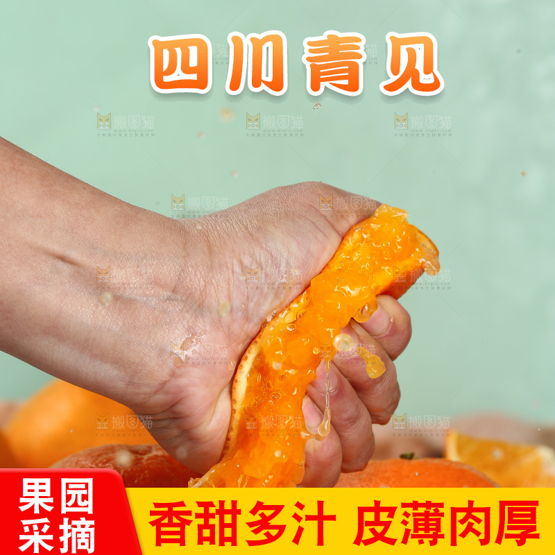 浅底上的青见