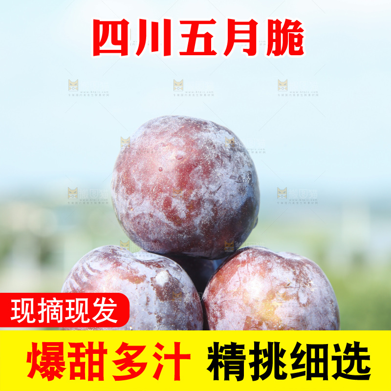 草地上放着五月脆李
