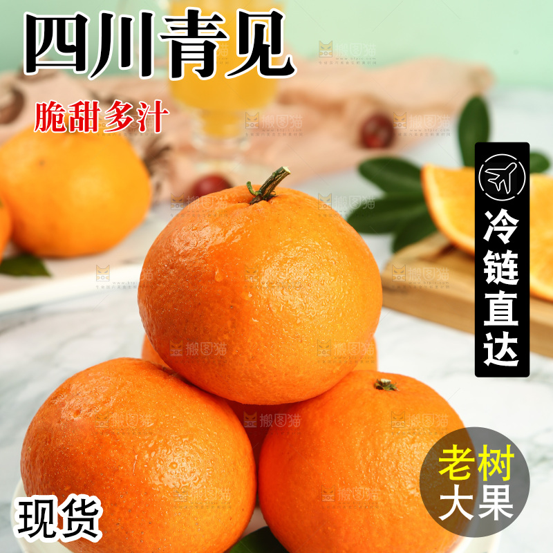 浅底上的青见