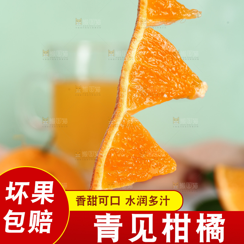 浅底上的青见