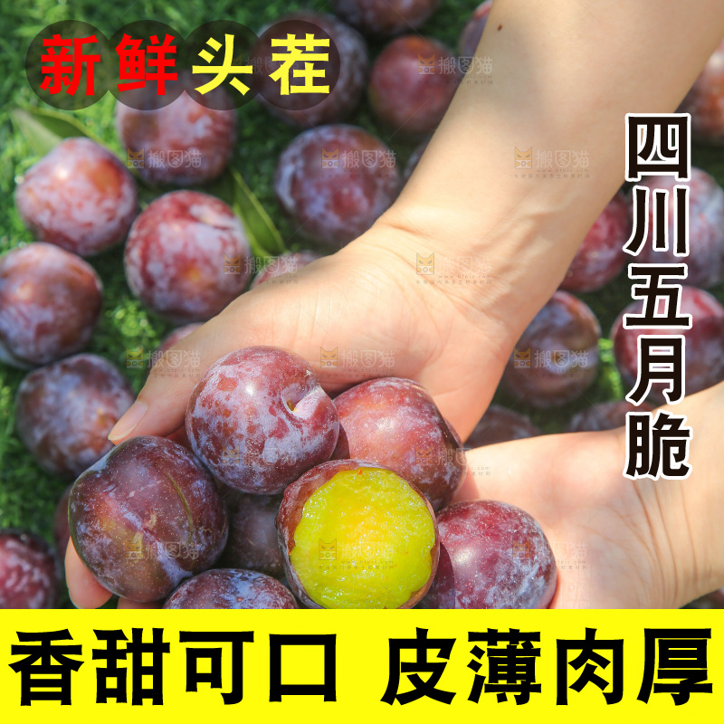 手里拿着五月脆李