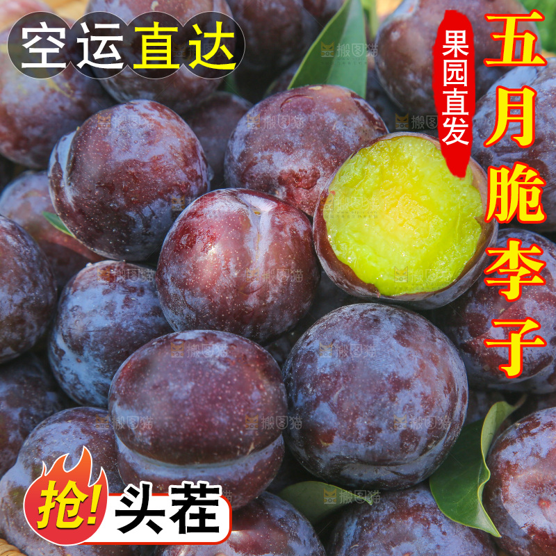 草地上放着五月脆李