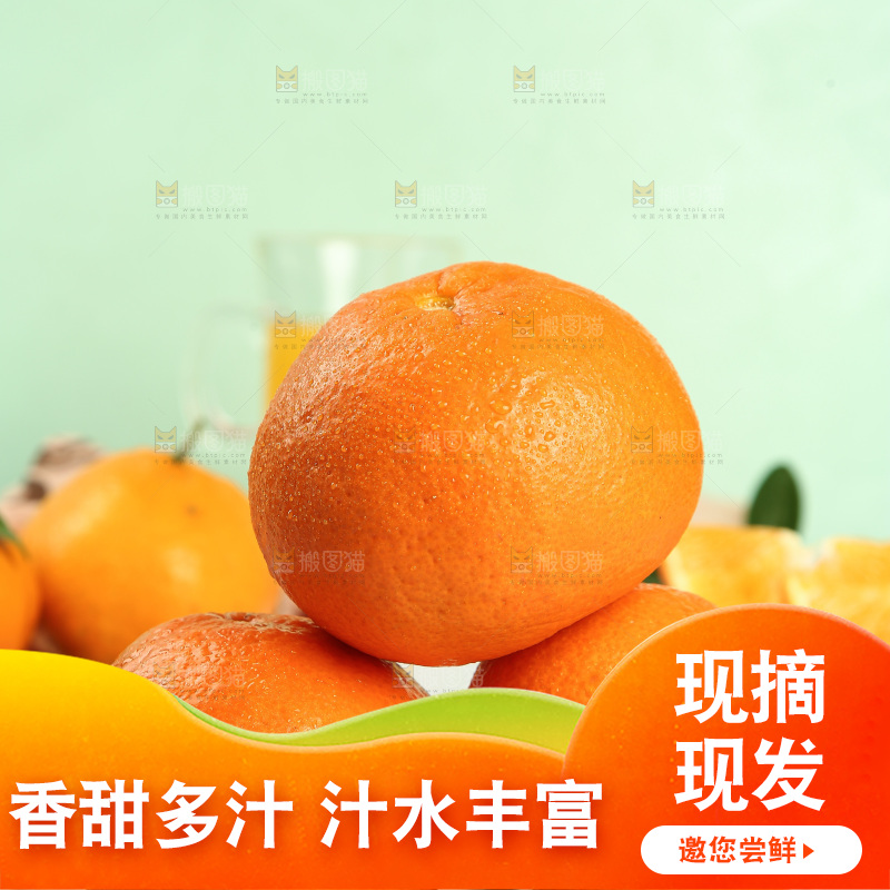 浅底上的青见