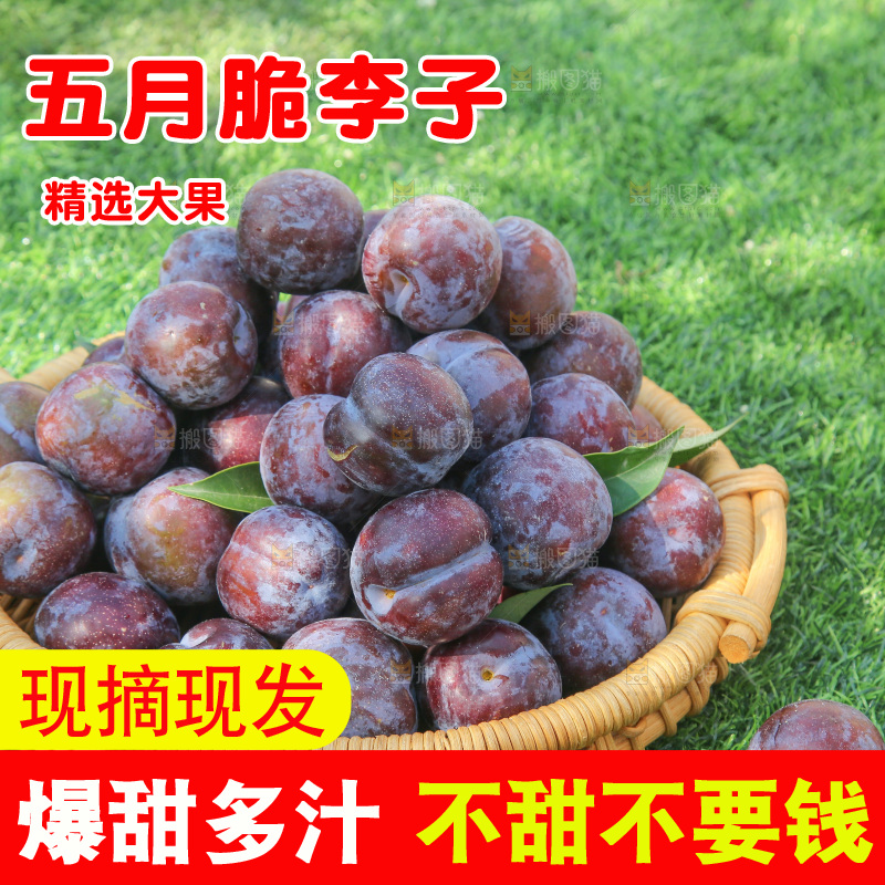 草地上放着五月脆李