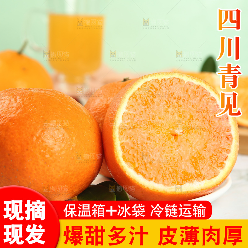 浅底上的青见