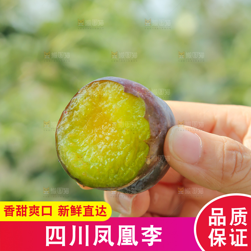 手里拿着五月脆李