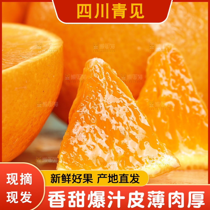 浅底上的青见