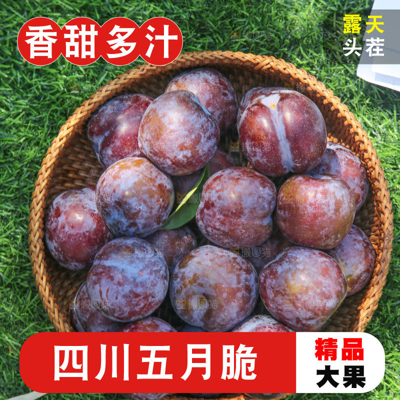 草地上放着五月脆李
