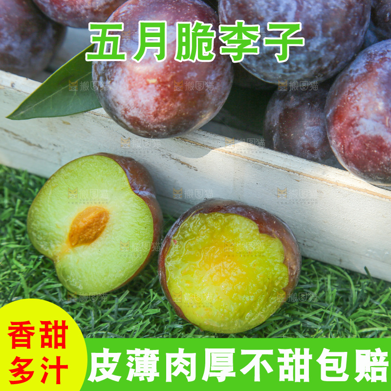 草地上放着五月脆李