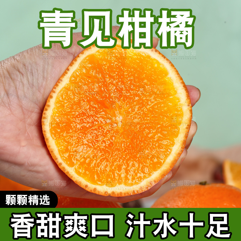 浅底上的青见