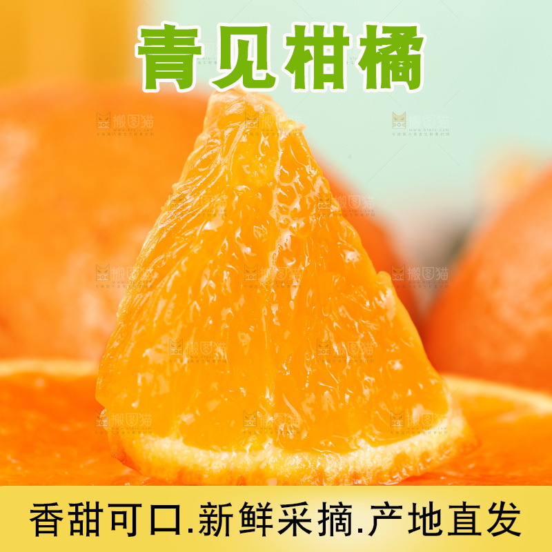 浅底上的青见