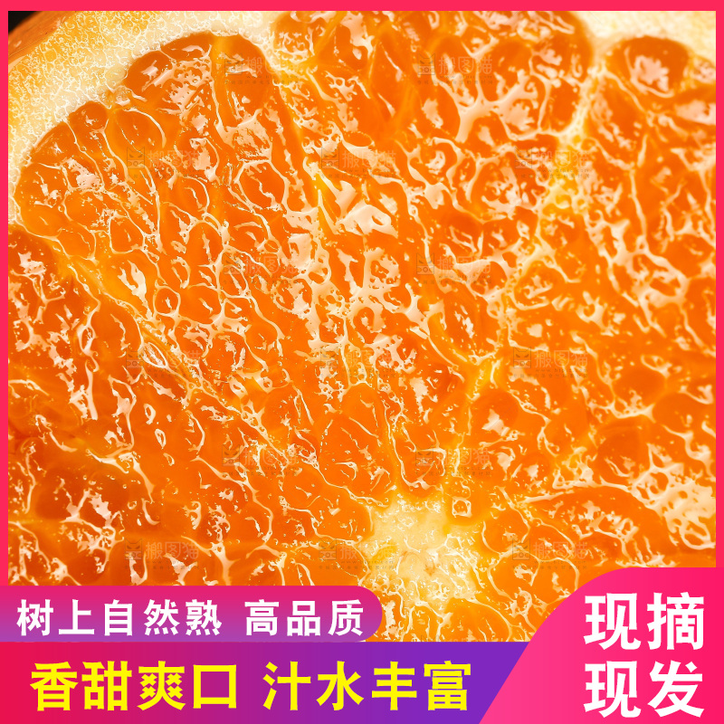 深底上的沃柑