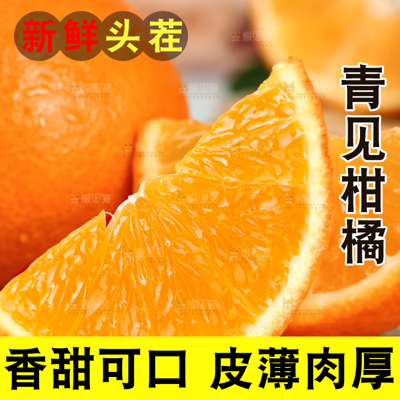 浅底上的青见