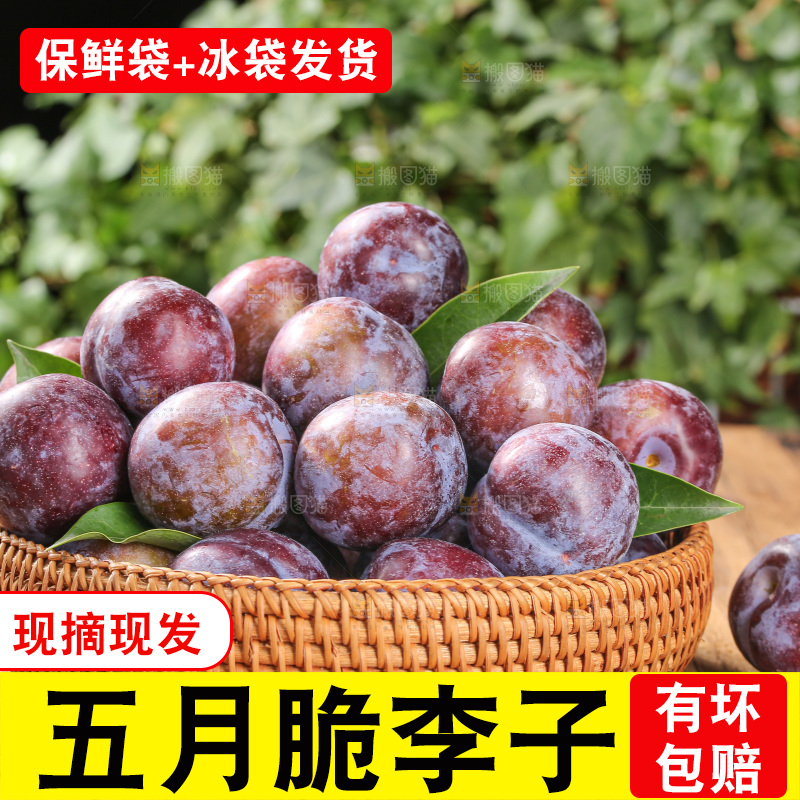 木底上的五月脆
