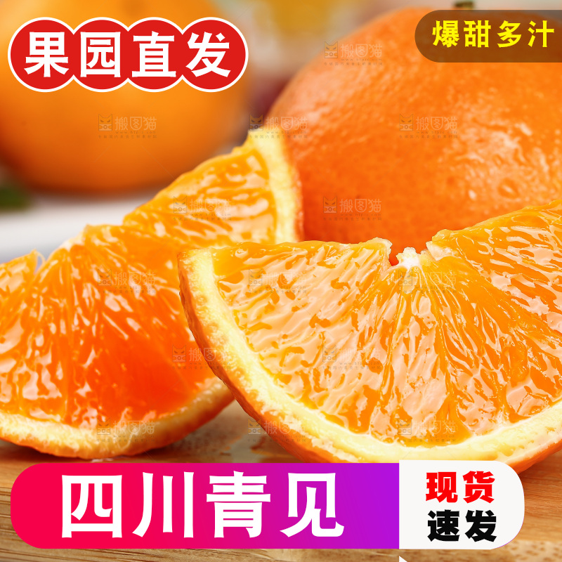 浅底上的青见