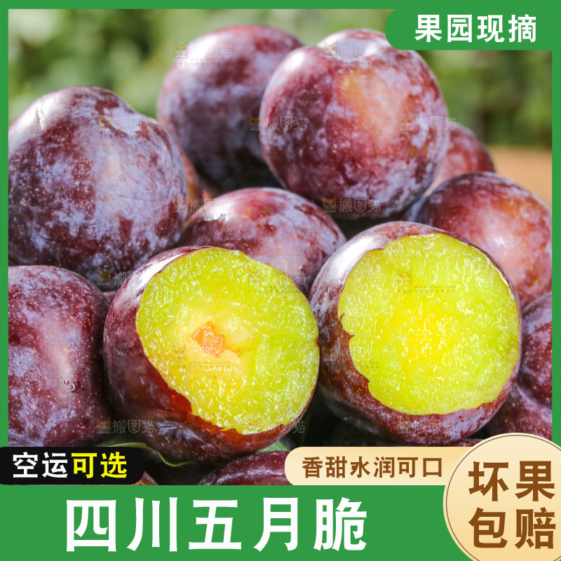 木底上的五月脆