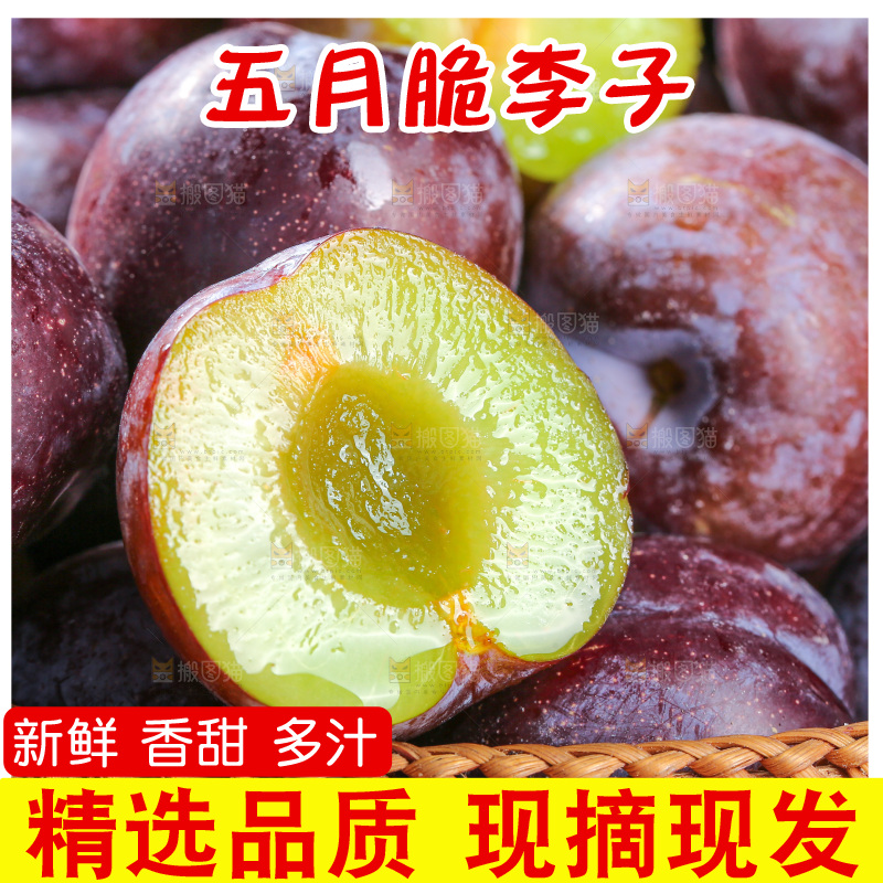 木底上的五月脆