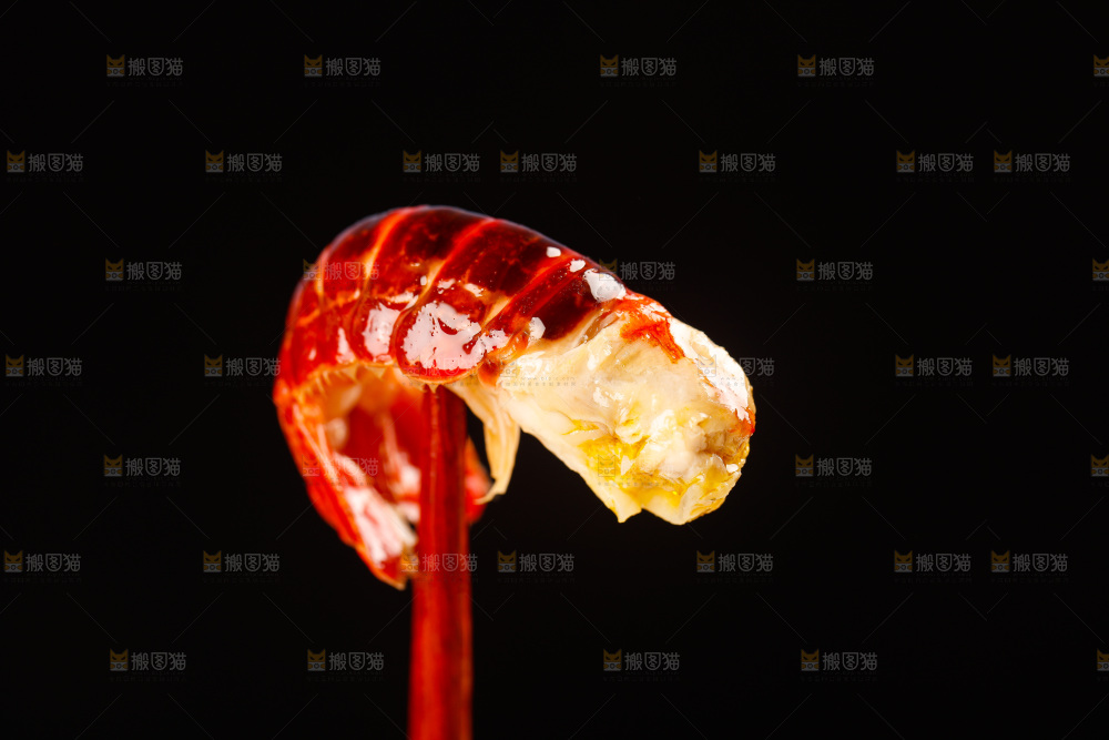 深底上的龙虾尾