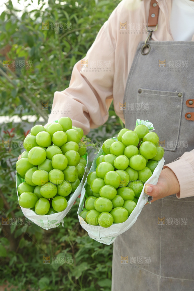 手里拿着阳光玫瑰