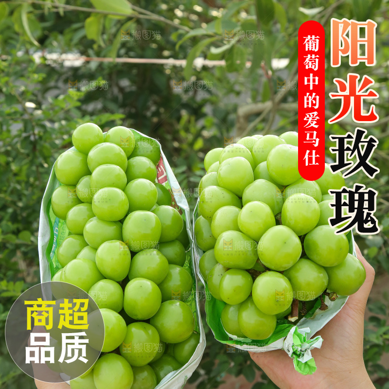 手里拿着阳光玫瑰