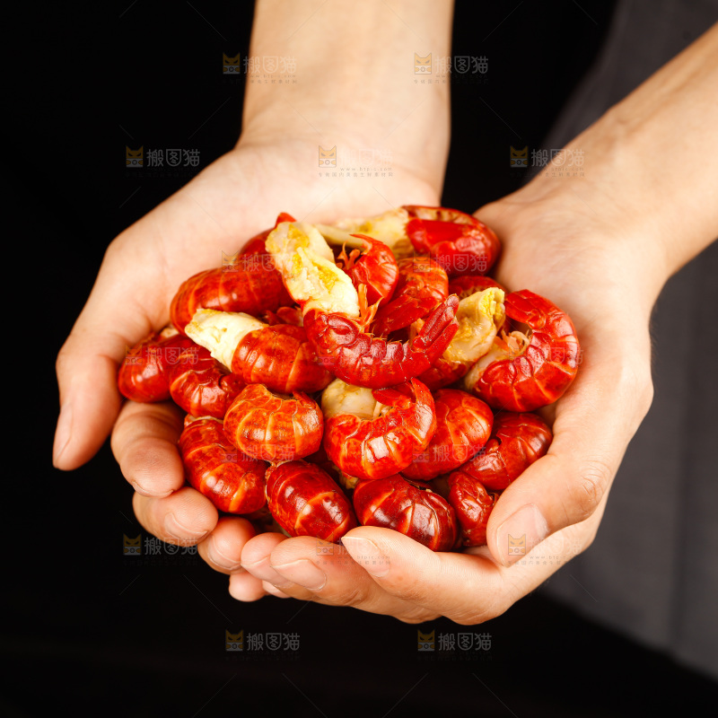 深底上的龙虾尾