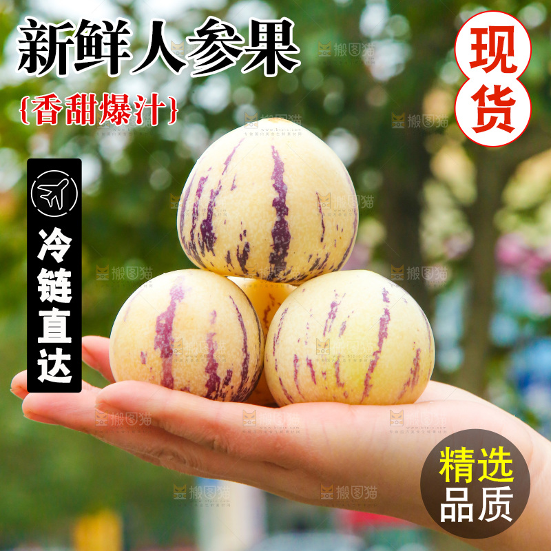 浅底上的人参果