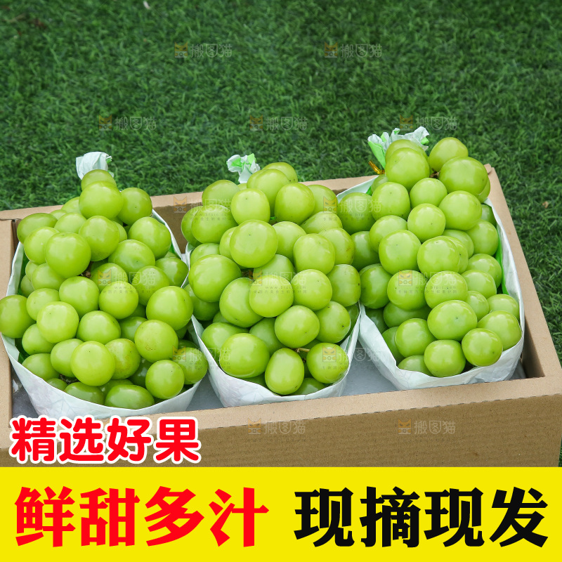 深底上的一箱阳光玫瑰