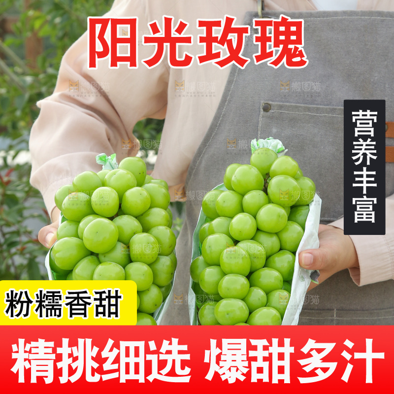 手里拿着阳光玫瑰