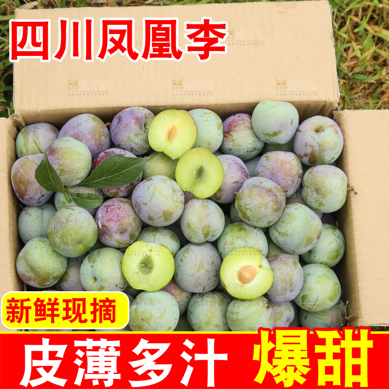 新鲜现摘的五月脆李