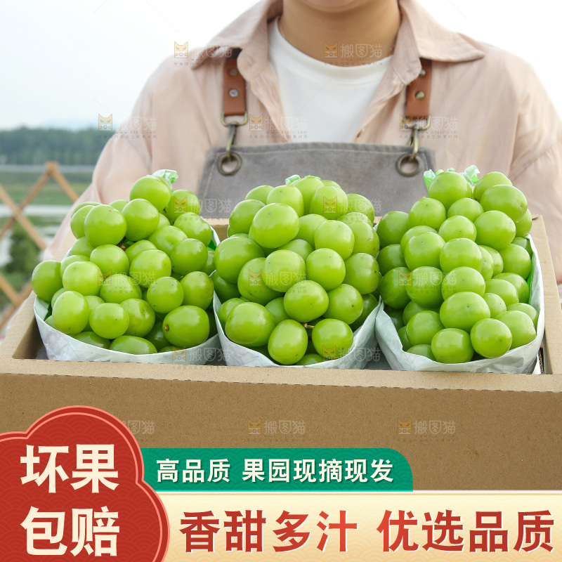 手里拿着一箱阳光玫瑰