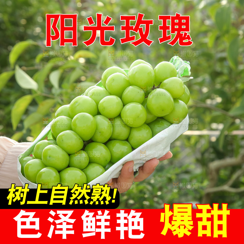 手里拿着阳光玫瑰