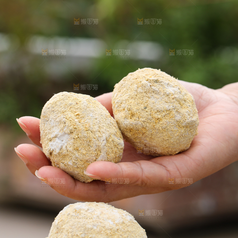 手里拿着变蛋