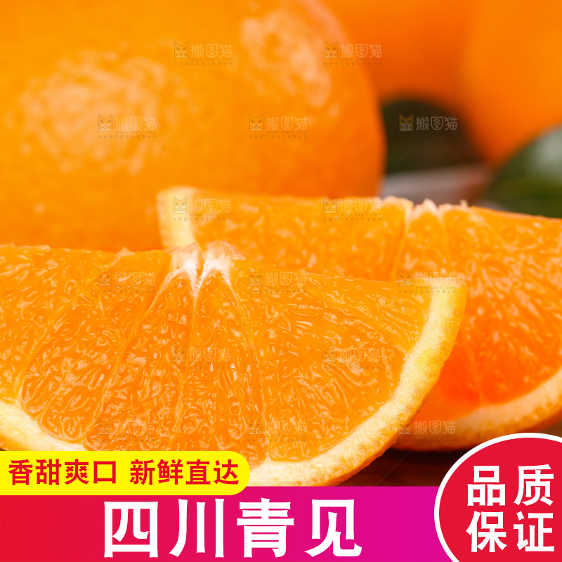 浅底上的青见