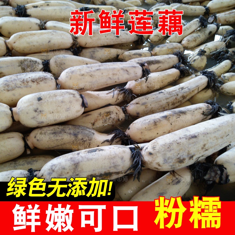 摆放整齐的莲藕