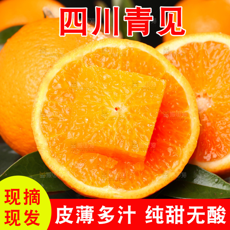 深底上的青见柑橘