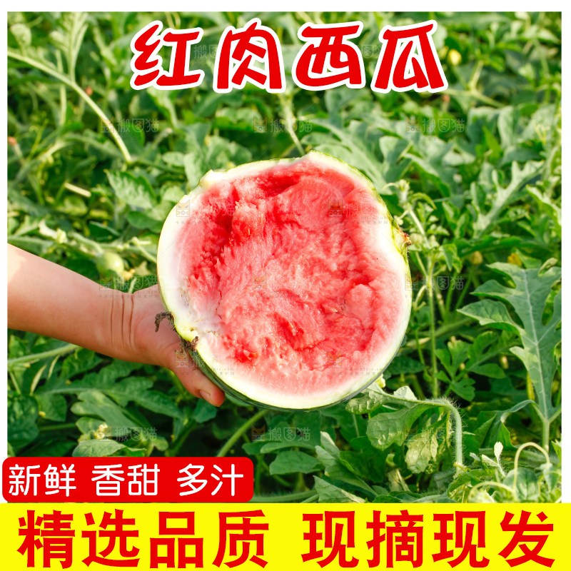 手里拿着新鲜西瓜